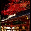 秋の榛名神社にて⑫