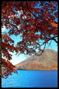 秋の榛名湖にて⑥