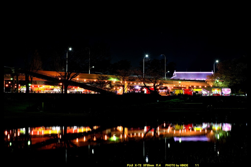 夜の前橋公園桜まつり⑦