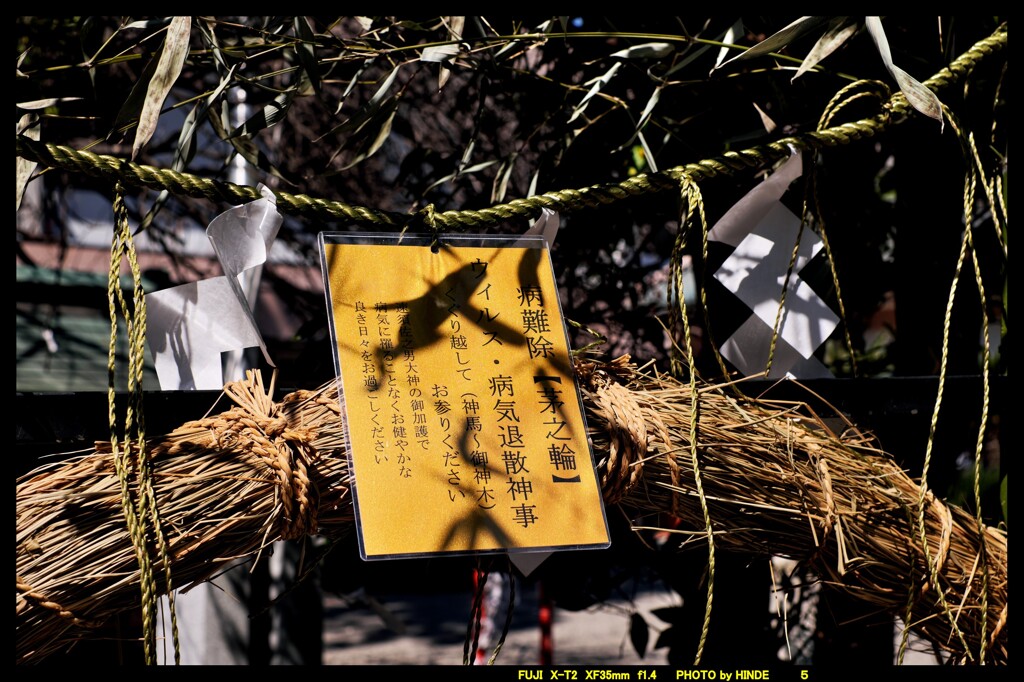 群馬高崎の進雄神社にて⑦