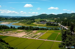 米処新潟の風景