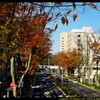 前橋駅前を散策と紅葉と⑬