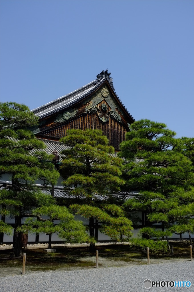 京都二条城と松