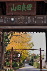 群馬世良田長楽寺の秋①