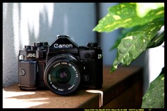 ひんでコレクション Canon A-1 ①