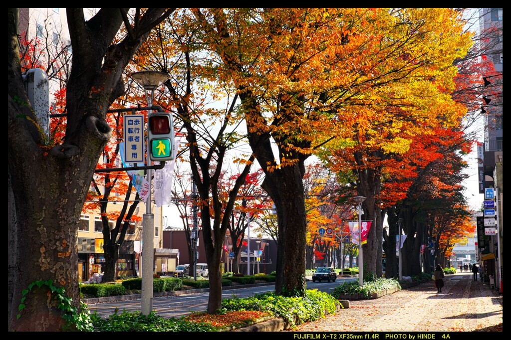 前橋駅前散策と紅葉と④