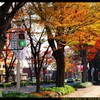 前橋駅前散策と紅葉と④