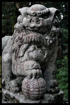 夕方の三夜沢赤城神社にて⑤