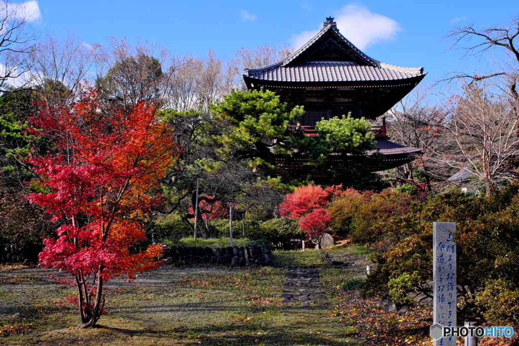 群馬赤城福増寺の秋⑦