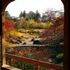 冬の臨江閣日本庭園にて⑧