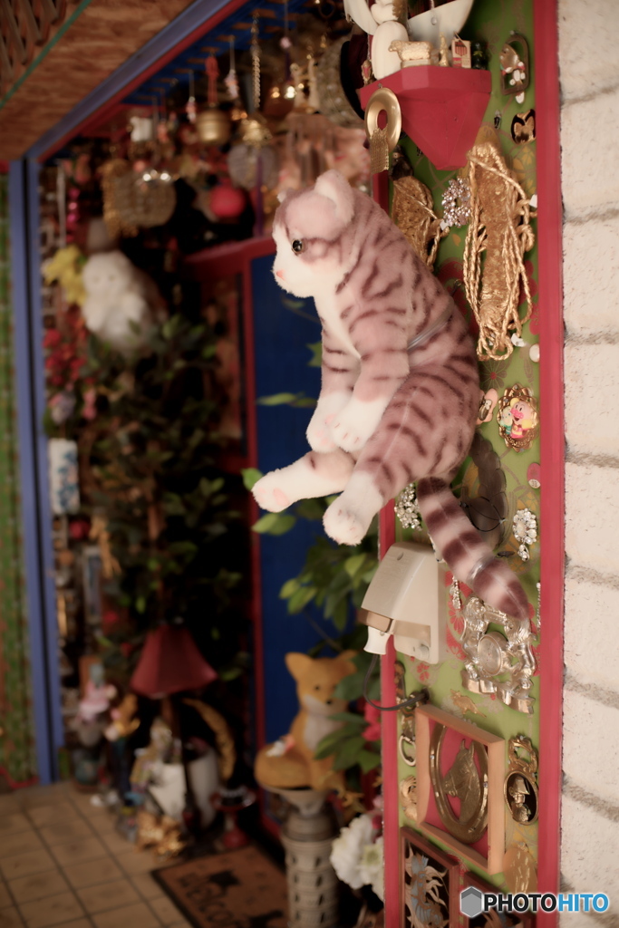 我が町、前橋アーケード街にて⑪