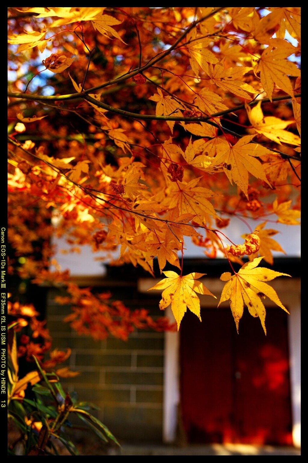 秋の榛名神社にて⑪