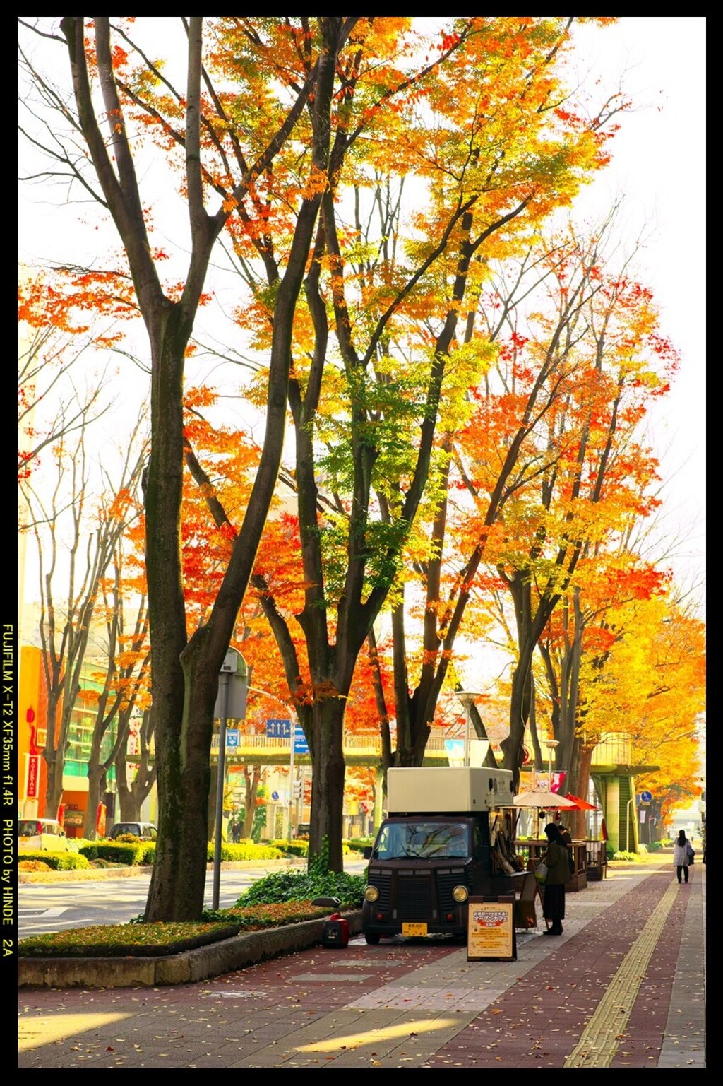 前橋駅前散策と紅葉と②