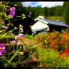 秋の吾妻の村にて②
