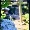 歴史ある木曽三社神社にて②