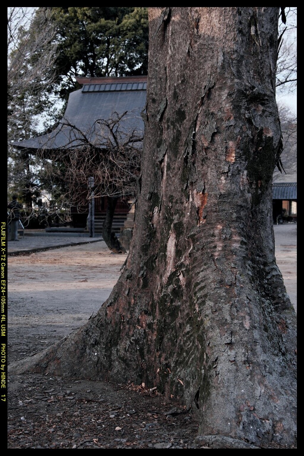 お散歩で日輪寺⑧