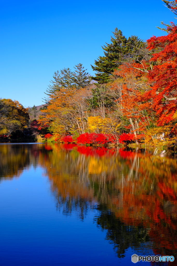 軽井沢雲場池①