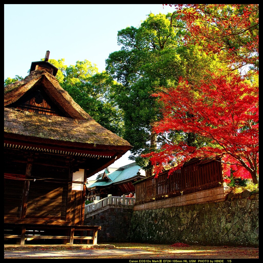 秋の少林山達磨寺にて⑭