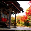 秋の少林山達磨寺にて⑬