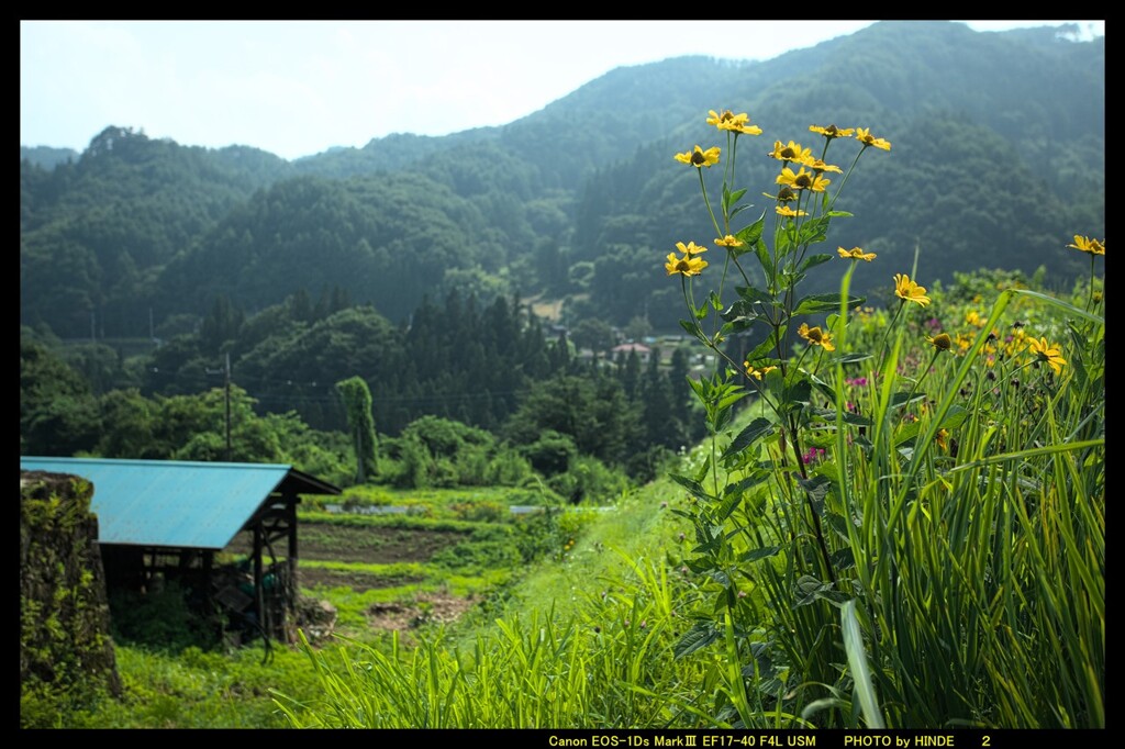 赤岩で里の風景②