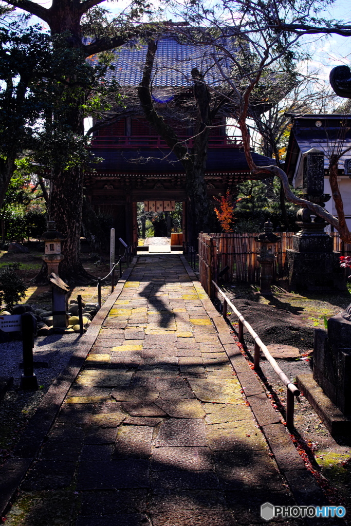 群馬赤城福増寺の秋⑤