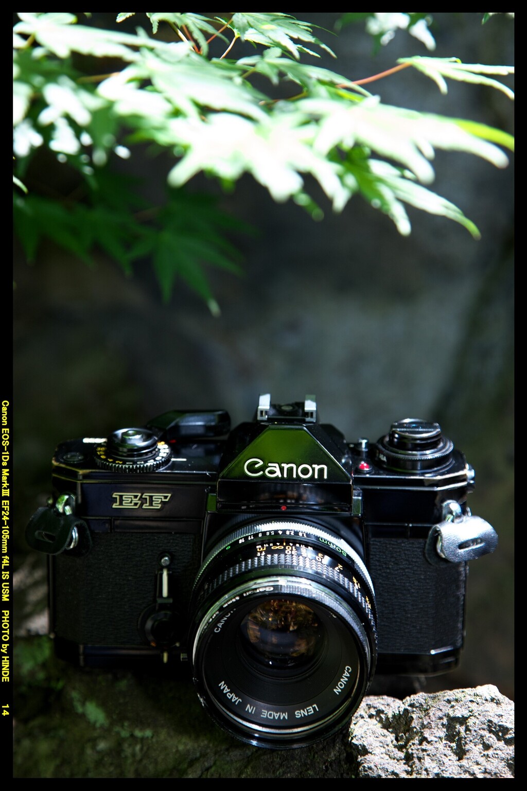 ひんでコレクション Canon EF ②