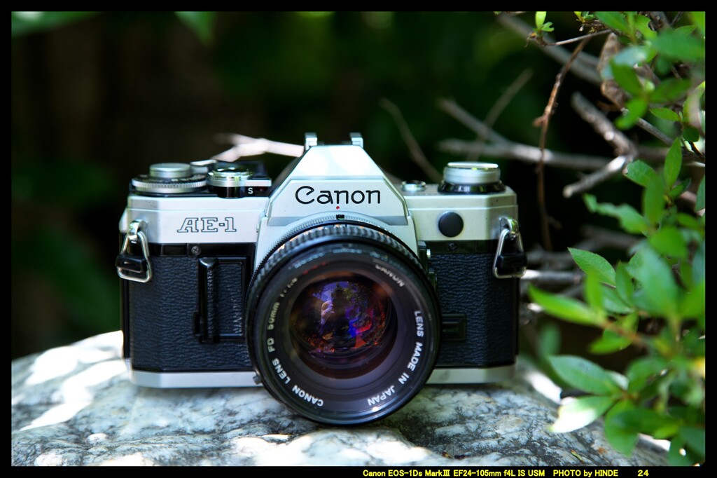 ひんでコレクション Canon AE-1 ②