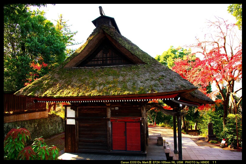 秋の少林山達磨寺にて⑫