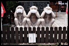 梅雨の晴れ間に玉村八幡宮①