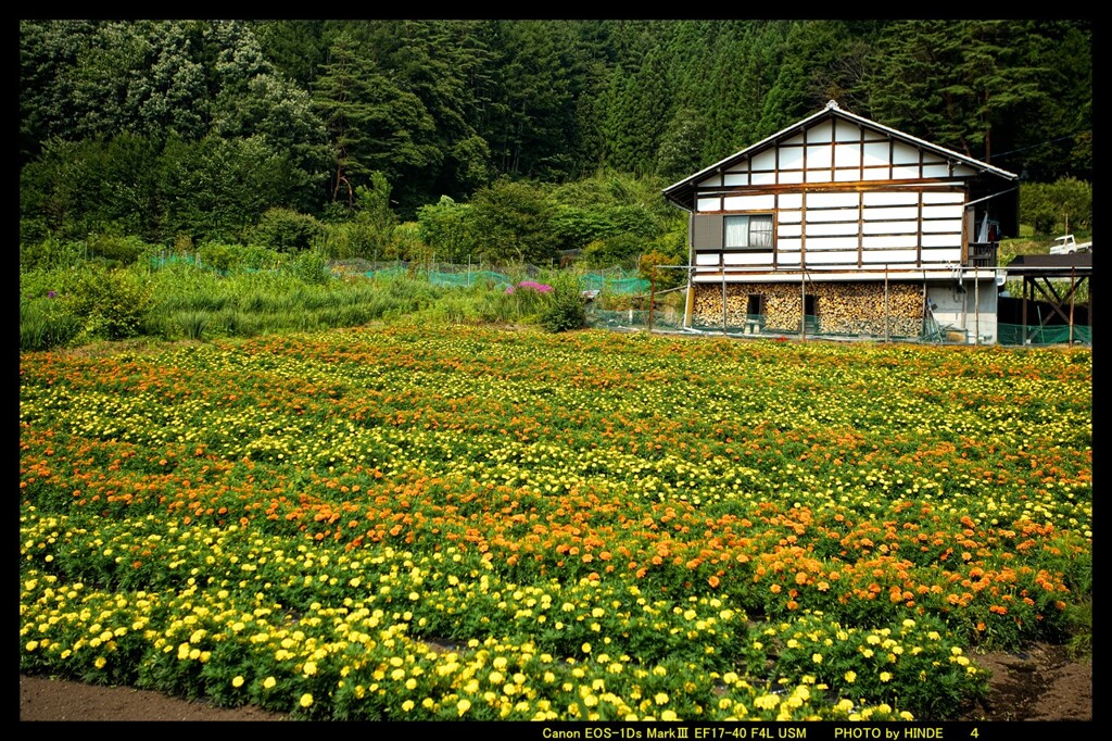 赤岩で里の風景④