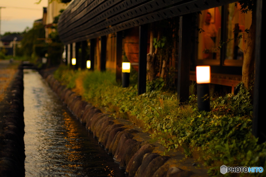 夕暮れのレストラン