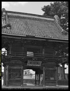 梅雨の晴れ間に玉村八幡宮③