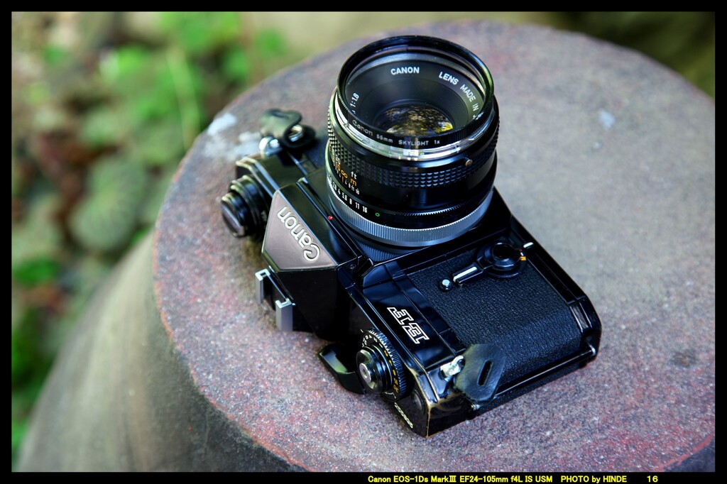 ひんでコレクション Canon EF ③