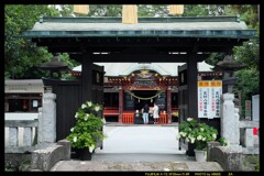 梅雨の晴れ間に玉村八幡宮②