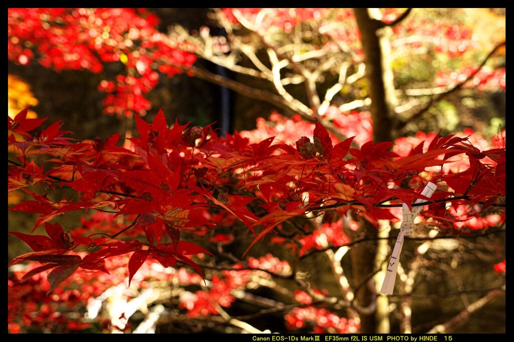 秋の榛名神社にて⑬