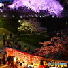 前橋幸の池公園さくら祭り