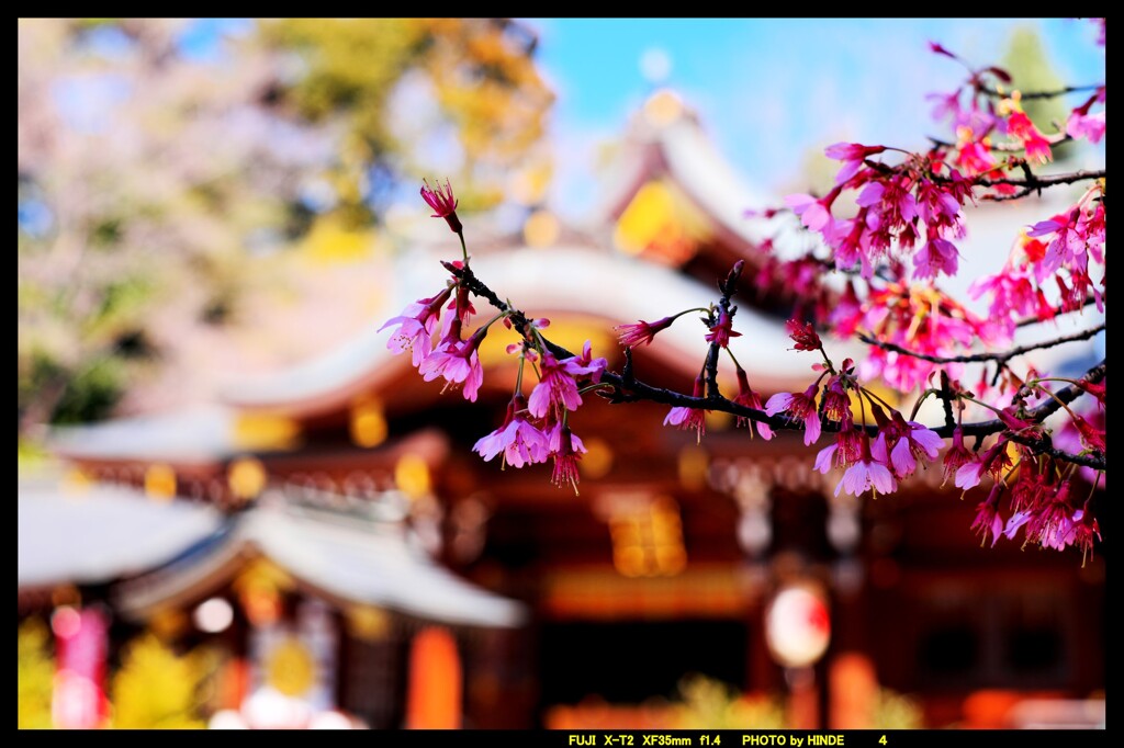 群馬高崎の進雄神社にて③