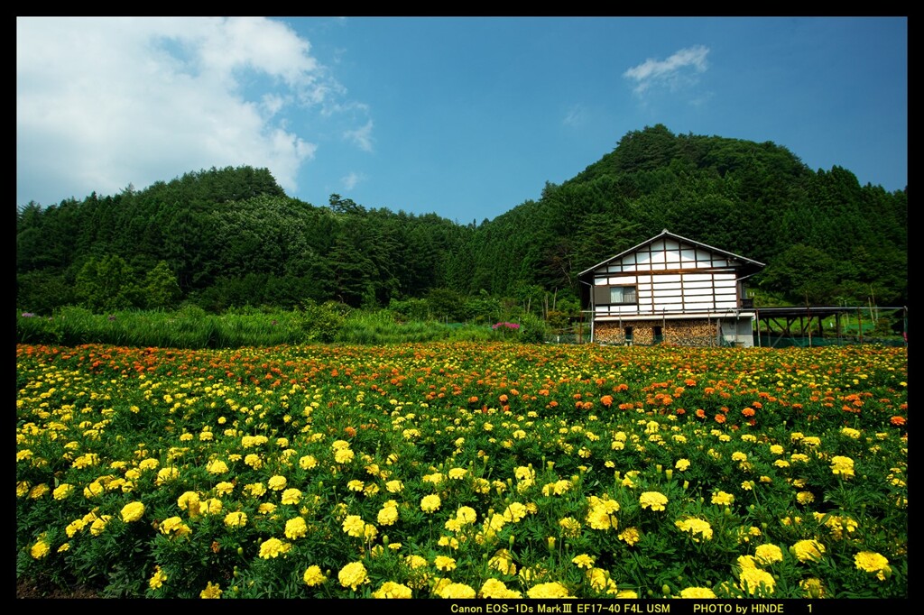 赤岩で里の風景①