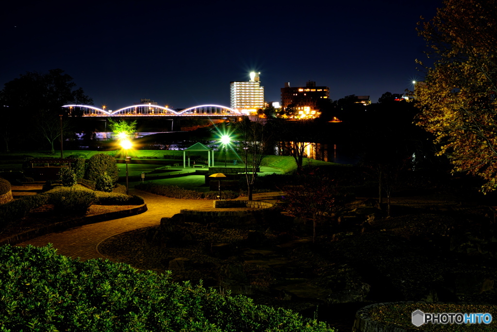 前橋公園の夜景