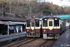 わたらせ渓谷鉄道WKT５００型