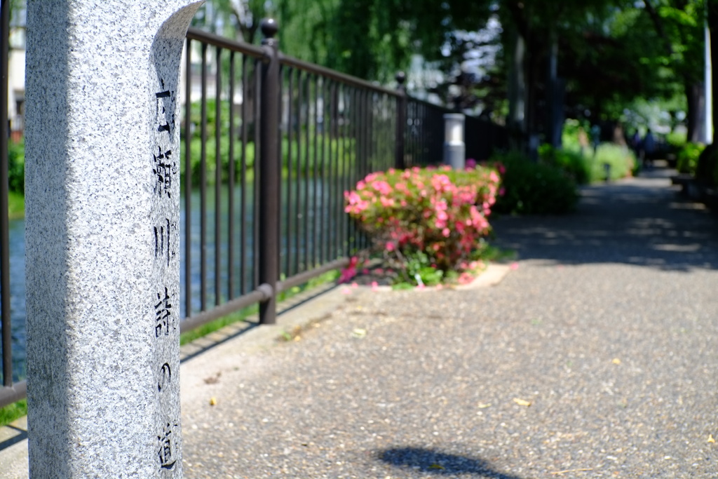 前橋アーケード街の広瀬川散策①