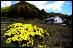 秋の六合村赤岩集落にて③