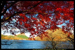 秋の榛名湖にて⑤