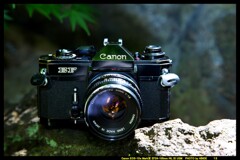 ひんでコレクション Canon EF ①
