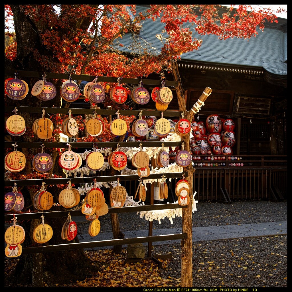 秋の少林山達磨寺にて⑩