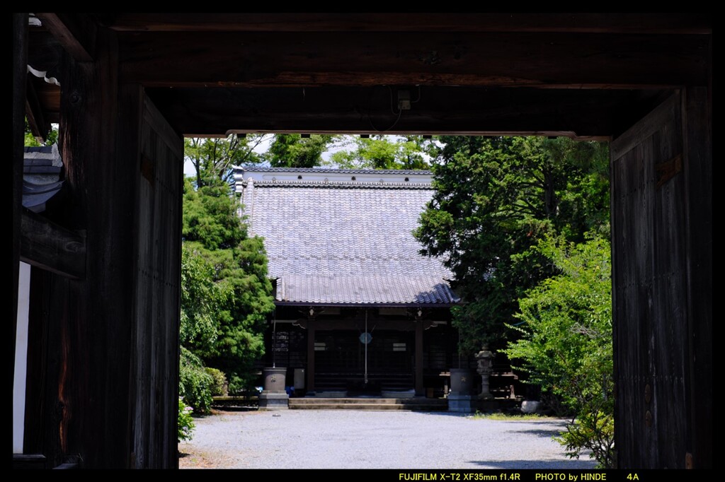 梅雨の晴れ間に玉村八幡宮④