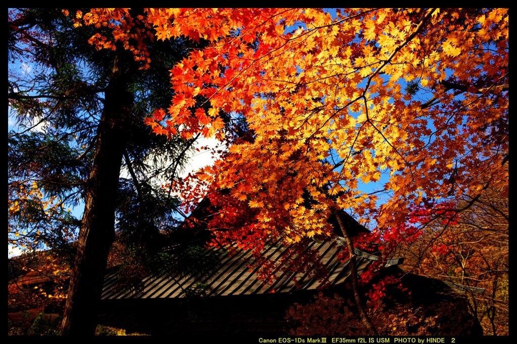 秋の榛名神社にて②