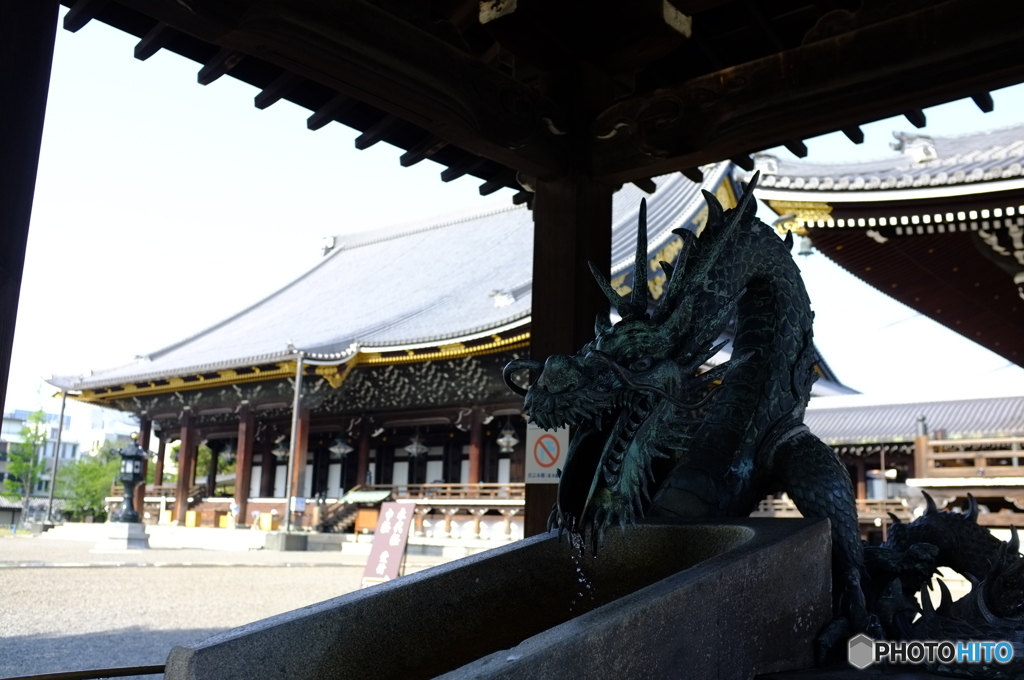 京都東本願寺阿弥陀堂