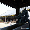 京都東本願寺阿弥陀堂