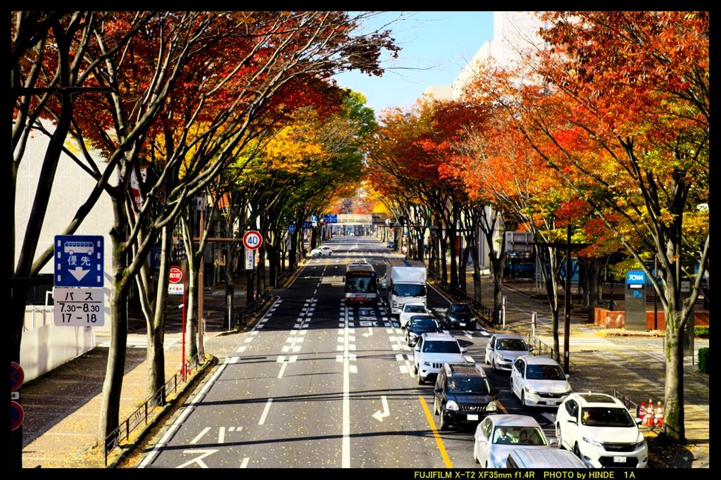 前橋駅前散策と紅葉と①